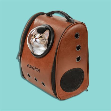 best cat carriers|Best Cat Carriers of 2024: Expert Picked .